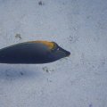 P9270726