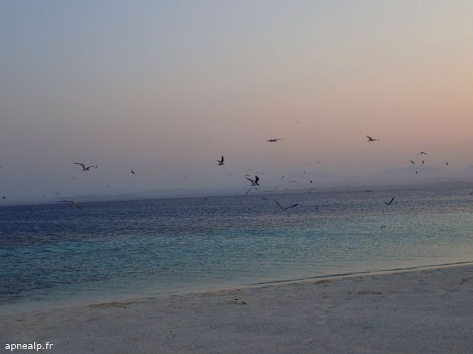 twg_slideshow