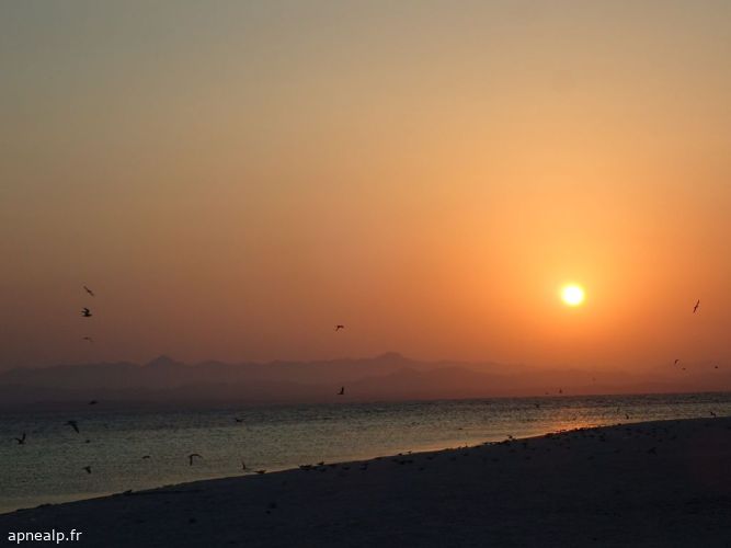 twg_slideshow