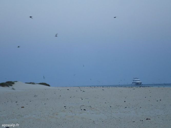 twg_slideshow