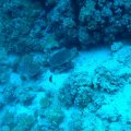 20160102_073806A