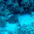 20160102_073816A