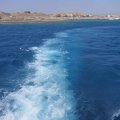 IMG_3569