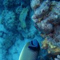 IMG_9362