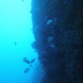 DSCF2602