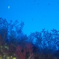 IMG_8923