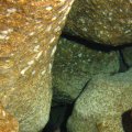 IMG_8798