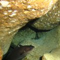 IMG_8800