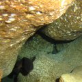 IMG_8801