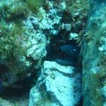 IMG_8821