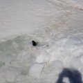 20180418_122814