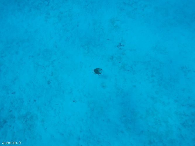 twg_slideshow