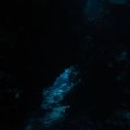 P9050323