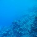 P9050366
