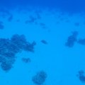 P9050379