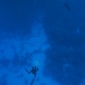 P9050388