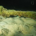 P9050454