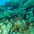 P9060539