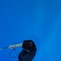 IMG_9811