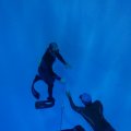 IMG_9831