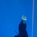 IMG_9836