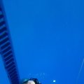 IMG_9838