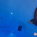 IMG_9855