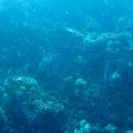 IMG_0017