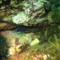 IMG_0051
