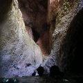 IMG_4613