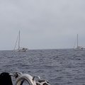 20180603_150751