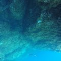 GOPR0489