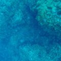 GOPR0502