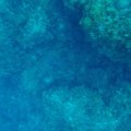 GOPR0503