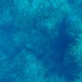 GOPR0504