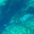 GOPR0508