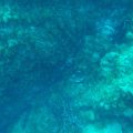 GOPR0509