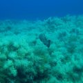 IMG_0003