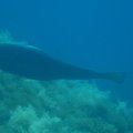 IMG_9900