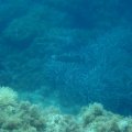 IMG_9907