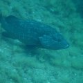 IMG_9909