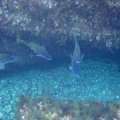 IMG_9936