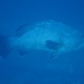 IMG_9956