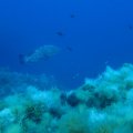 IMG_9958