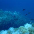IMG_9959