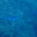 IMG_9981