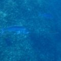IMG_9982