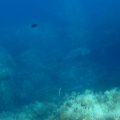IMG_9995