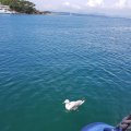 20180602_140135