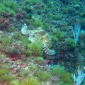 IMG_0941